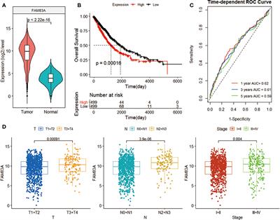 Machine learning and BP neural network revealed abnormal B cell infiltration predicts the survival of lung cancer patients